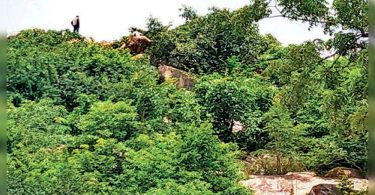 Lost worker 35 years old raped, killed in Jinnaram