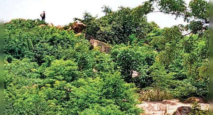 Lost worker 35 years old raped, killed in Jinnaram