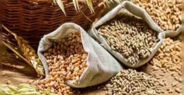 More than 4000 complaints were received on corruption in TPDS from 2018 to 2021