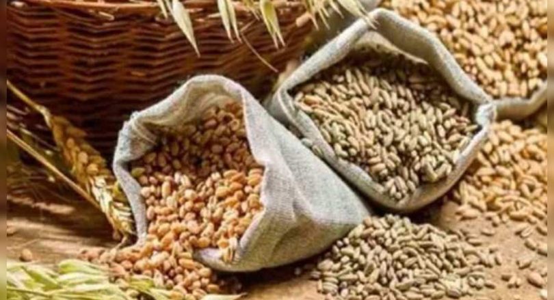 More than 4000 complaints were received on corruption in TPDS from 2018 to 2021