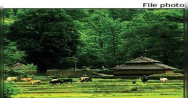 Goa: 'Review of private forest areas will be finished at Mar' 22 ', said CM Pramod Sawant