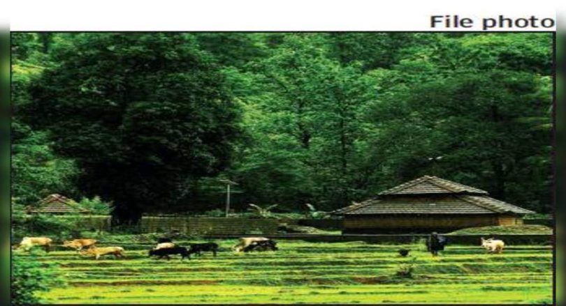 Goa: 'Review of private forest areas will be finished at Mar' 22 ', said CM Pramod Sawant