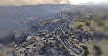 Forest fires in South Turkey left 3 dead, 58 was hospitalized