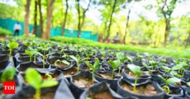 Residents helped sough to make Chennai Greener