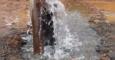 Maharashtra: Four-year-old boy drinking Borewell water, die