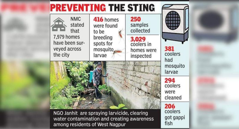 NGOs bring spraying, fogging in the area skipped in the NMC dengue survey