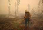 'We need more people': firefighters who are exhausted by Battle Siberia Blazes