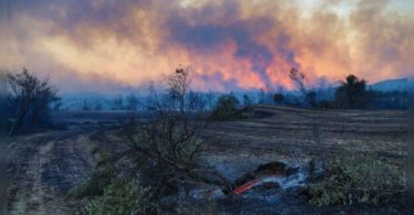 Three dead like a fire in South Turkey experienced: Minister