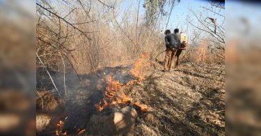 More than 3 lakh Lansel forest fires are recorded since November 2020: Government