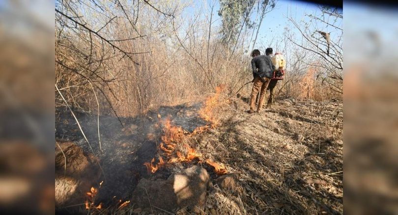 More than 3 lakh Lansel forest fires are recorded since November 2020: Government