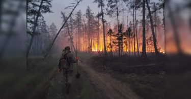 'Our homeland caught fire': Volunteers join the Siberia Wildfire Fight