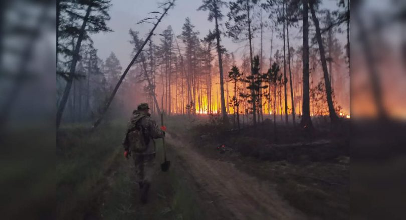 'Our homeland caught fire': Volunteers join the Siberia Wildfire Fight