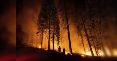 Wildfire flare California but in crew crew has been built