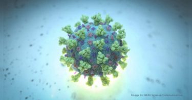 Covid-19 Delta Variant Treatment In Italy said the Health Institute