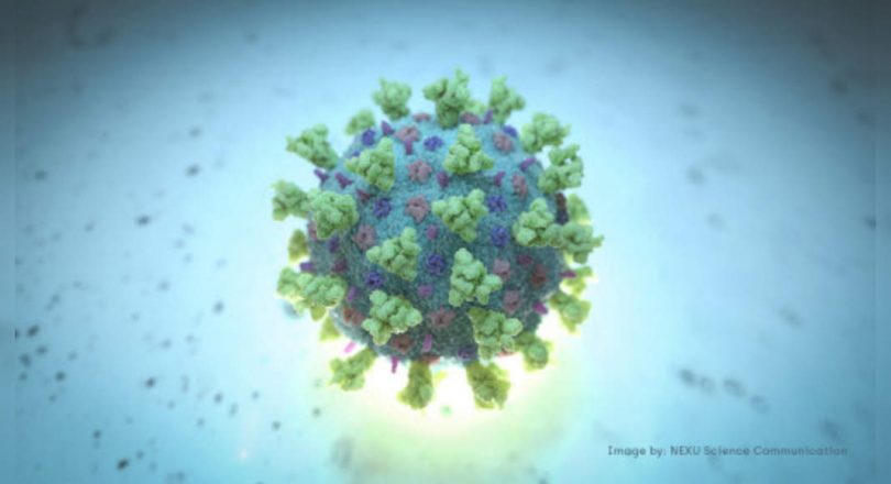 Covid-19 Delta Variant Treatment In Italy said the Health Institute