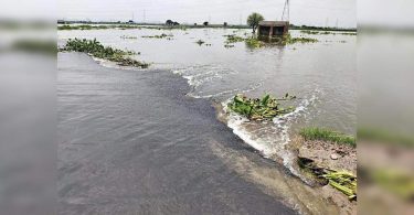The city's large waterways flooded for 12k hectare of Land Agri: farmers