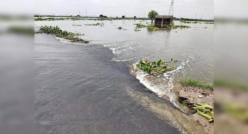 The city's large waterways flooded for 12k hectare of Land Agri: farmers