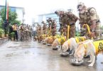Delhi: CISF Adieu's offer to 7 dogs with food and medals