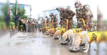 Delhi: CISF Adieu's offer to 7 dogs with food and medals