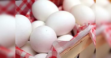 Free eggs for deposits: companies on the dock