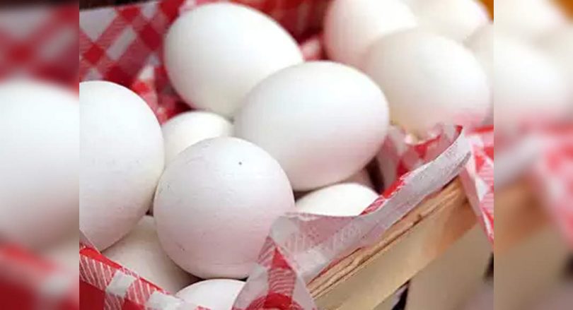 Free eggs for deposits: companies on the dock