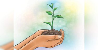 Assam: Drive Plantation by KVK Eco Club