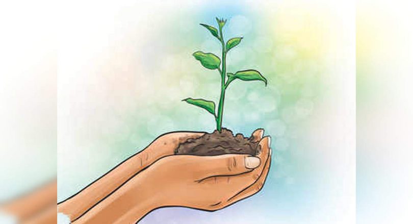 Assam: Drive Plantation by KVK Eco Club