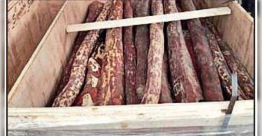 B'luru: Red Sanders Worth RS 6CR confiscated in Kia