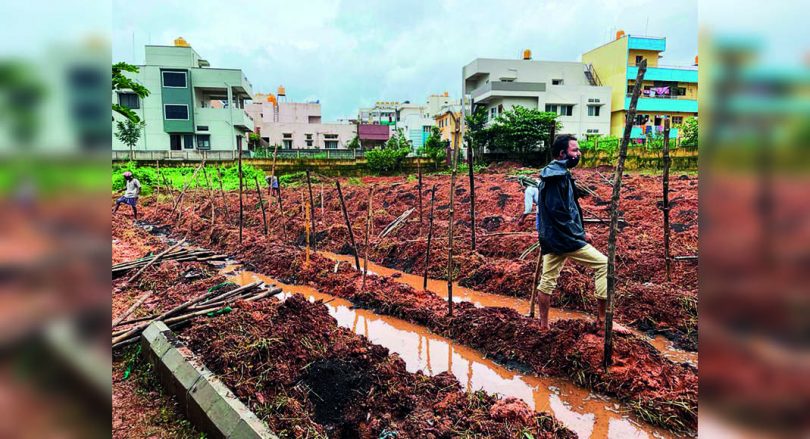 Karnataka: Miyawaki Urban Forest is planned in Dharwad