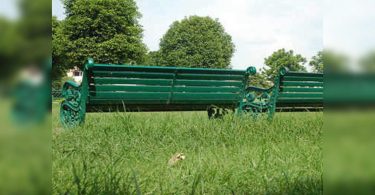 All housing sectors in Noida immediately have parks for children