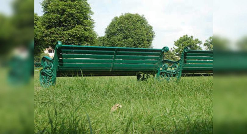 All housing sectors in Noida immediately have parks for children