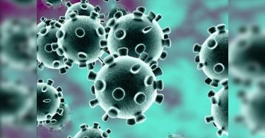 In-host mutations on Covid-19 viruses that reflect the variant, find studies