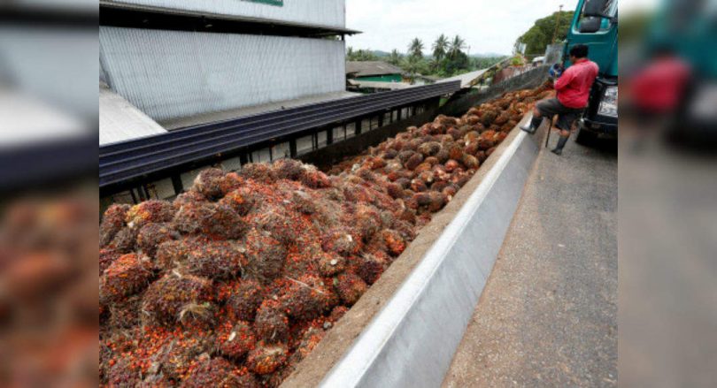 The government removes import restrictions on fine palm oil until December