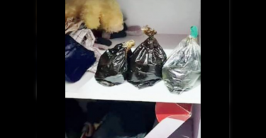 Two men kerala nabbed with 4 kg hash oil