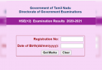 Tamil Nadu DGE 12th Results 2021 Announced, This Direct Link