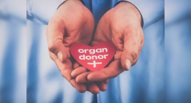 Organ of Brain Dead Girl, 13, Give Life to 4