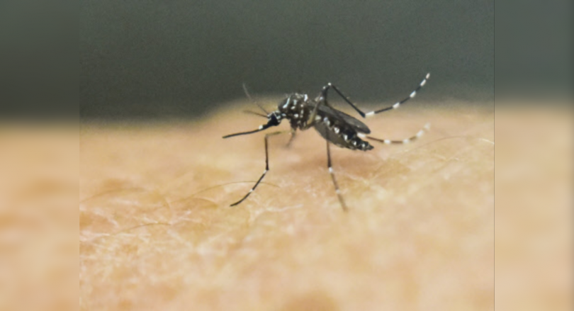 One more positive test for Zika in Kerala; 38 cases in total