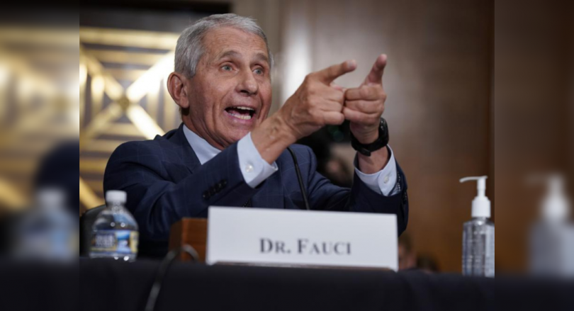 Fauci, Paul clashed at the origin of the virus, the trade allegations lie