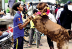 Prasagraj to celebrate Bakrid today, Norms Covid-19 to be followed