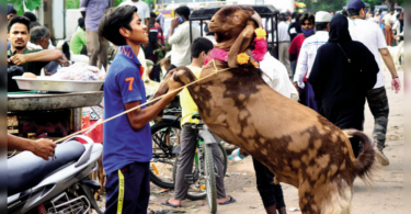 Prasagraj to celebrate Bakrid today, Norms Covid-19 to be followed