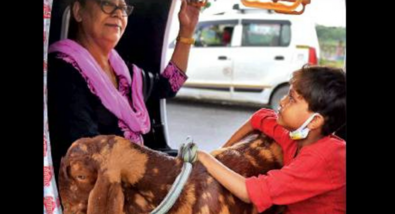 Bulk's flight ban Hits Reunion Bakrid in LKO after Covid suffering