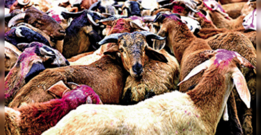 Hectic activity on Eve Bakrid in the old city of Hyderabad