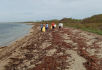 100 kg waste collected from Krusadai Island