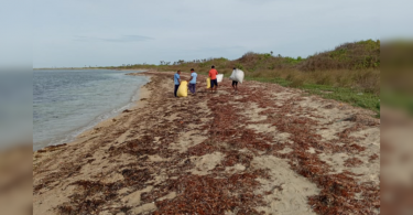 100 kg waste collected from Krusadai Island