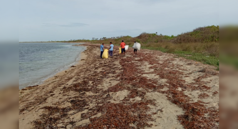 100 kg waste collected from Krusadai Island