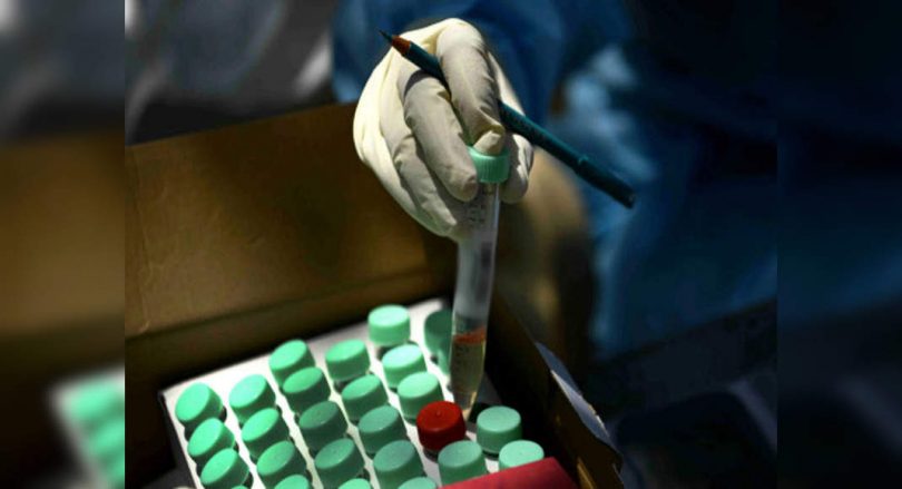 DK Records Decrease in Covid's Pointititives