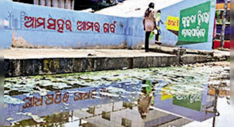 The meeting was held to get a handle on a dengue fever in Bhubaneswar