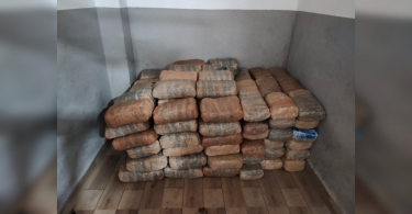320 kilos of marijuana seized in Karnataka