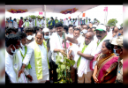 Plantation 3 CR Saplings at B'Day KTR