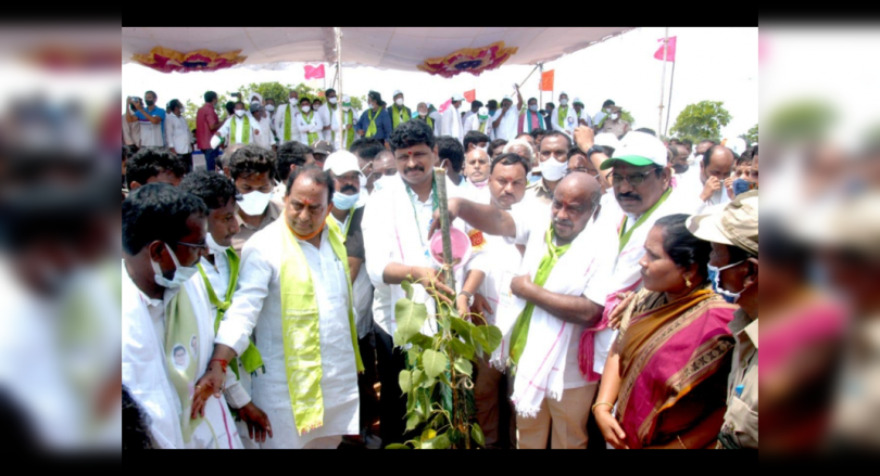 Plantation 3 CR Saplings at B'Day KTR